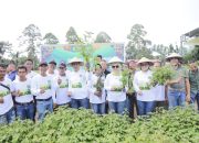 Wali Kota Kotamobagu Tinjau Panen Perdana Nilam dan Serahkan Kartu BPJS